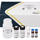 ABRAXIS® Acrylamide Derivatization Kit